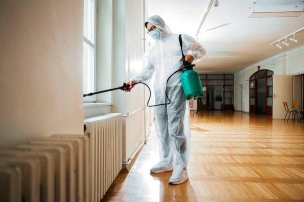 Professional Pest Control in Mount Angel, OR